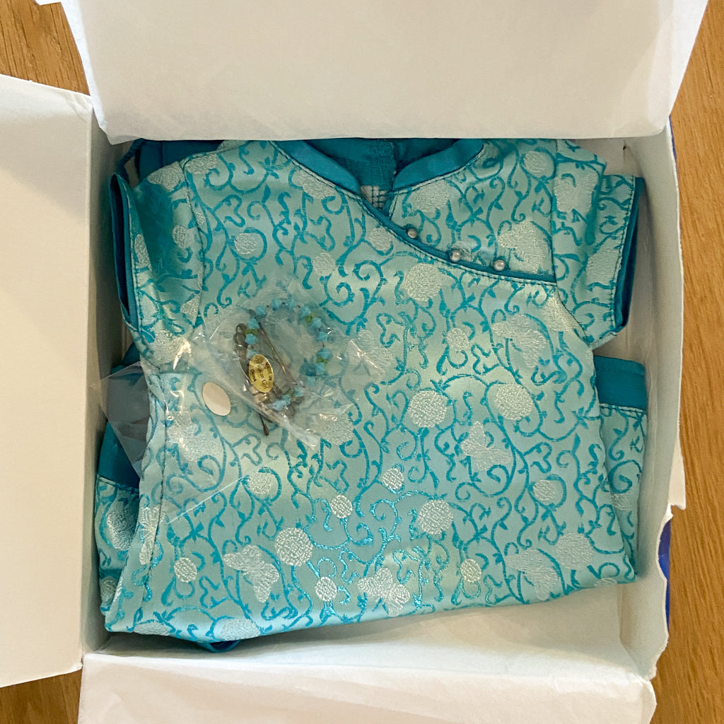 American Girl Today Butterfly Brocade Outfit