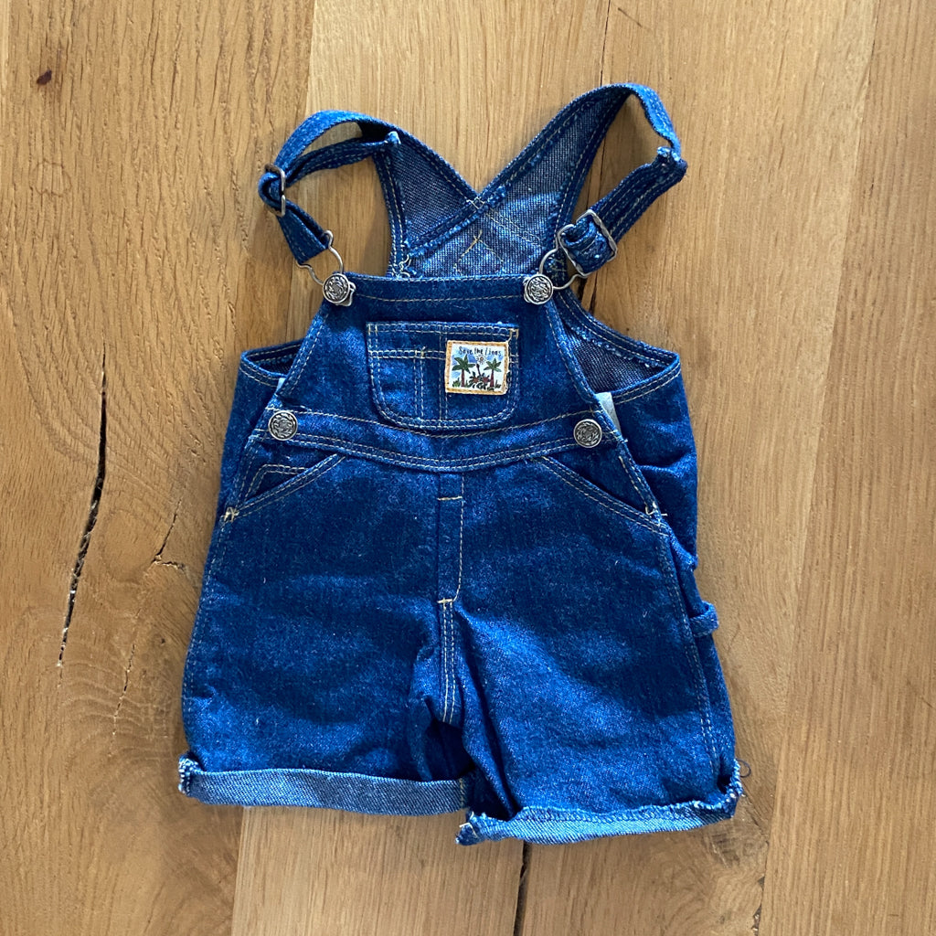 American Girl Today Earth Day Outfit