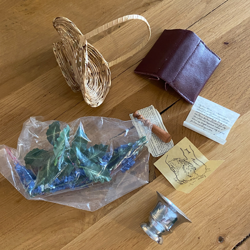 American Girl Felicity Rescue Kit