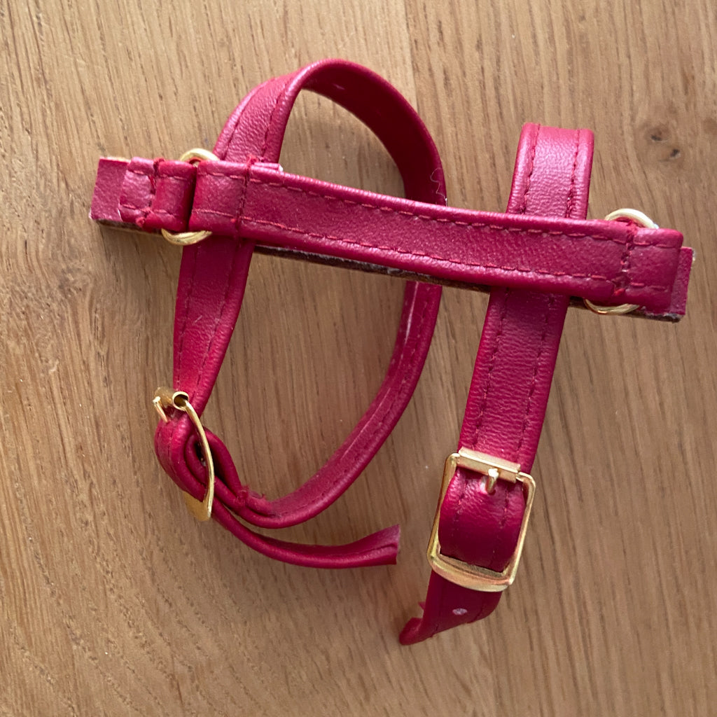 American Girl Samantha School Book Strap