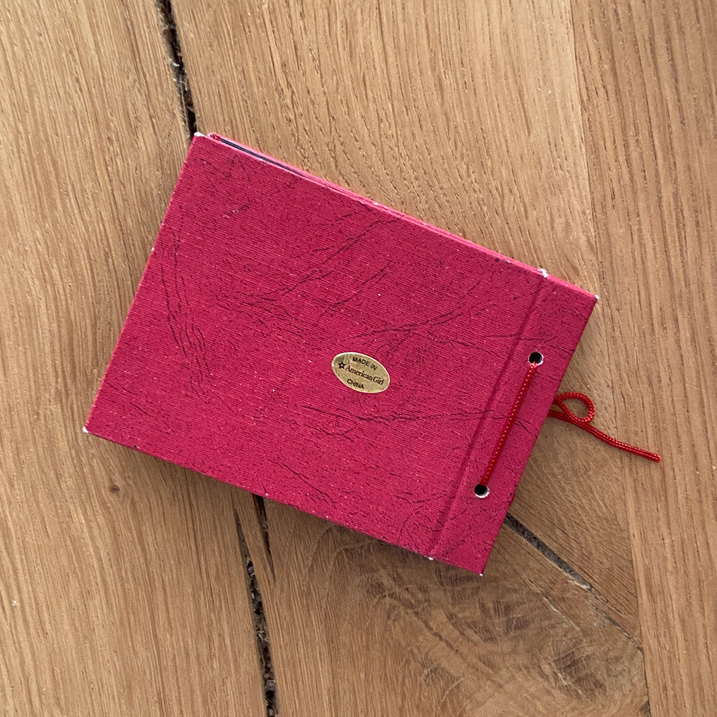 American Girl Emily Meet Accessory Book