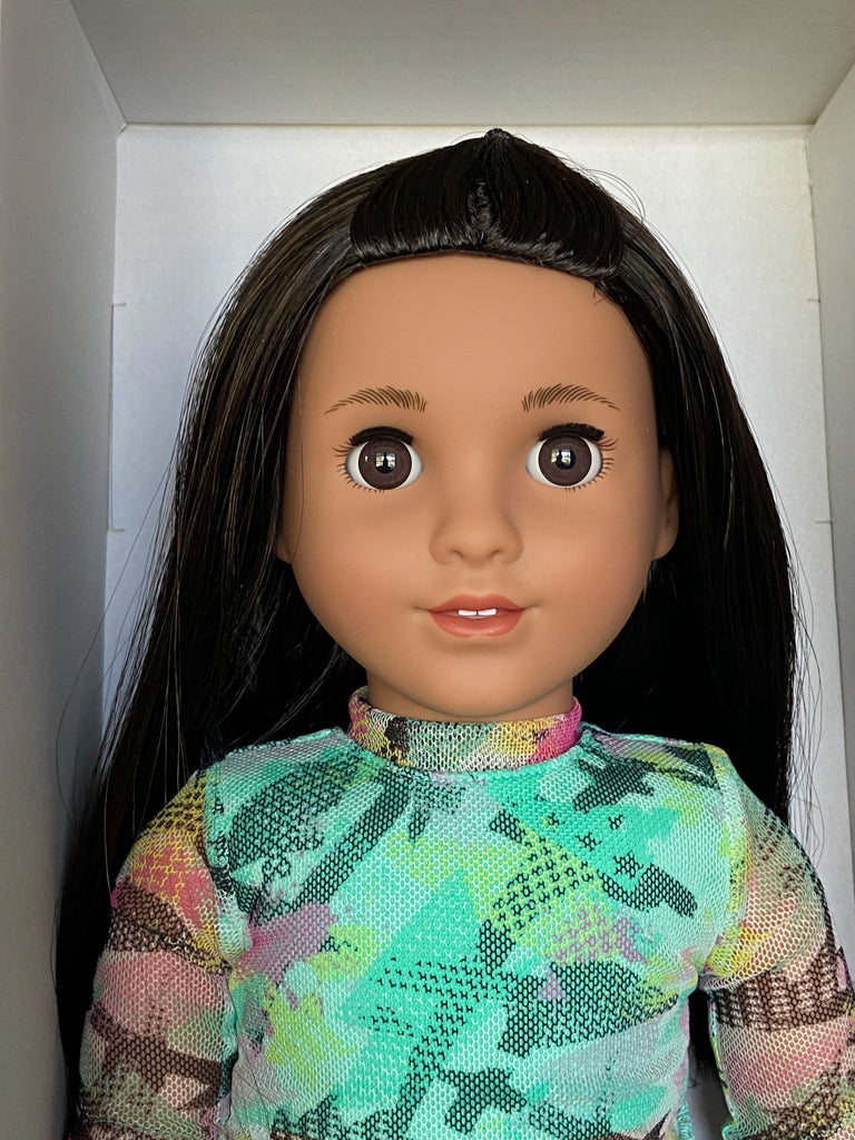 American Girl of the Year Kavi & Meet Accessories
