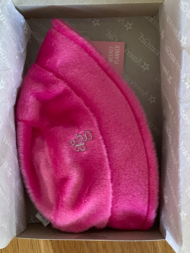 American Girl of the Year Kavi & Meet Accessories