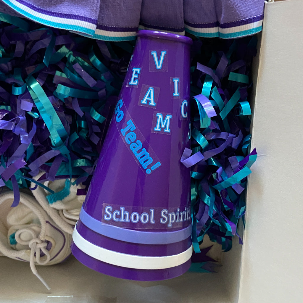 American Girl Bargain - Cheer Outfit