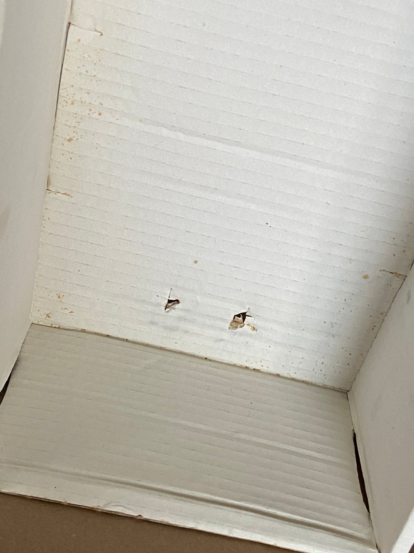 American Girl of Today (AGOT) #6.1