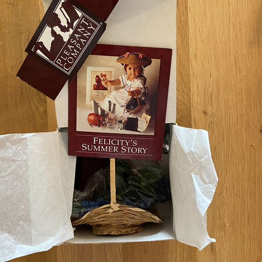 American Girl Felicity Rescue Kit