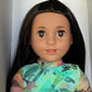 American Girl of the Year Kavi & Meet Accessories