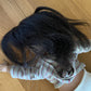 American Girl Today #15
